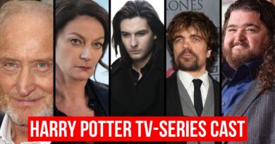 Harry Potter MAX tv-serie fancast