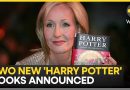 Nieuwe Harry Potter boeken in 2027: McGonagall en Fred en George